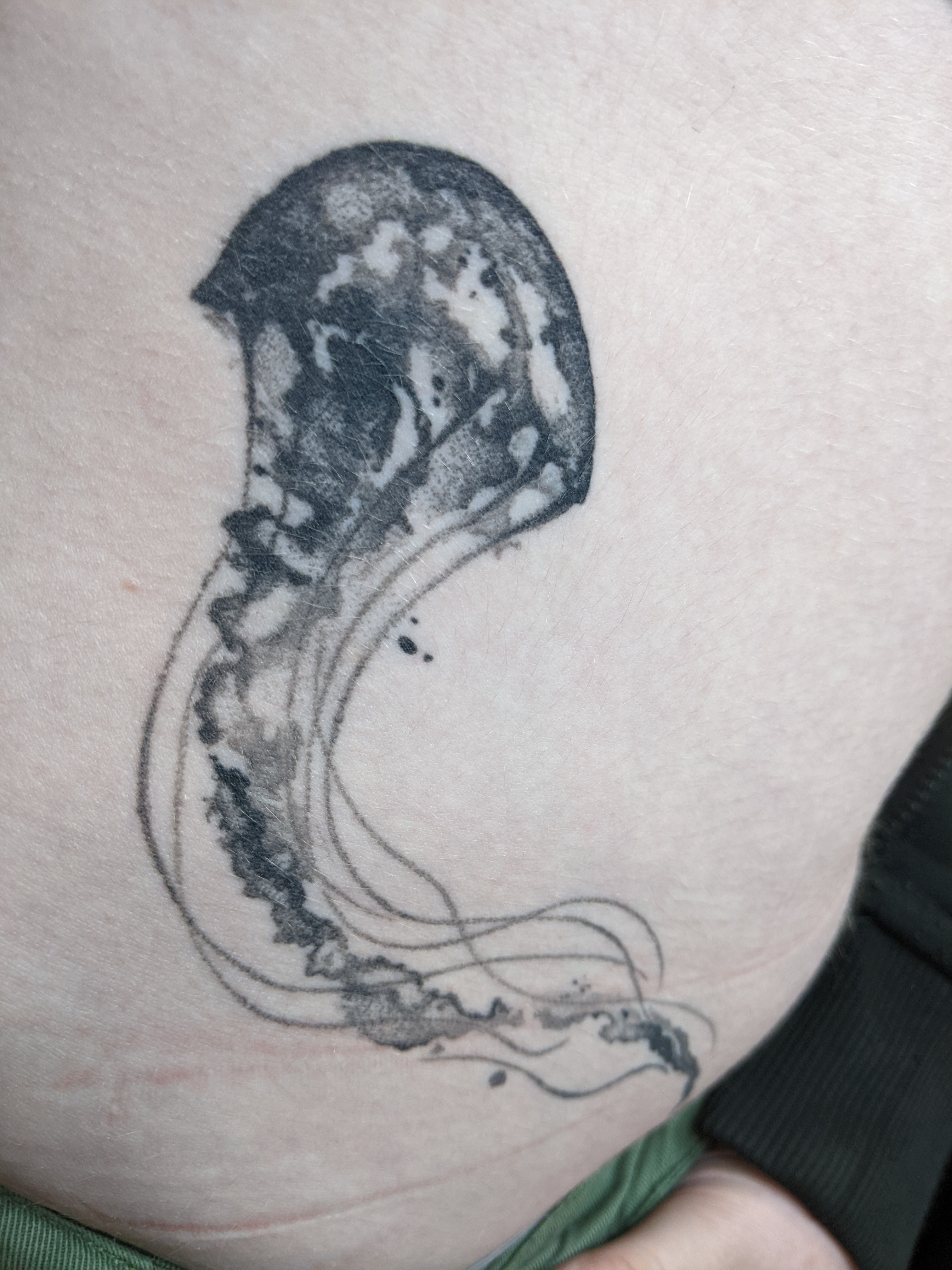 Photo n° 9 de l'avis de Brun.i fait le 30/01/2024 à 07:49