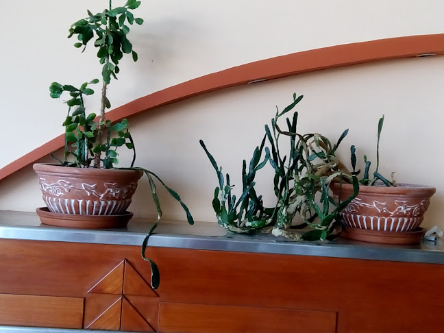 Αριθμός τηλεφώνου ΤΟ ΚΑΤΙ ΑΛΛΟ