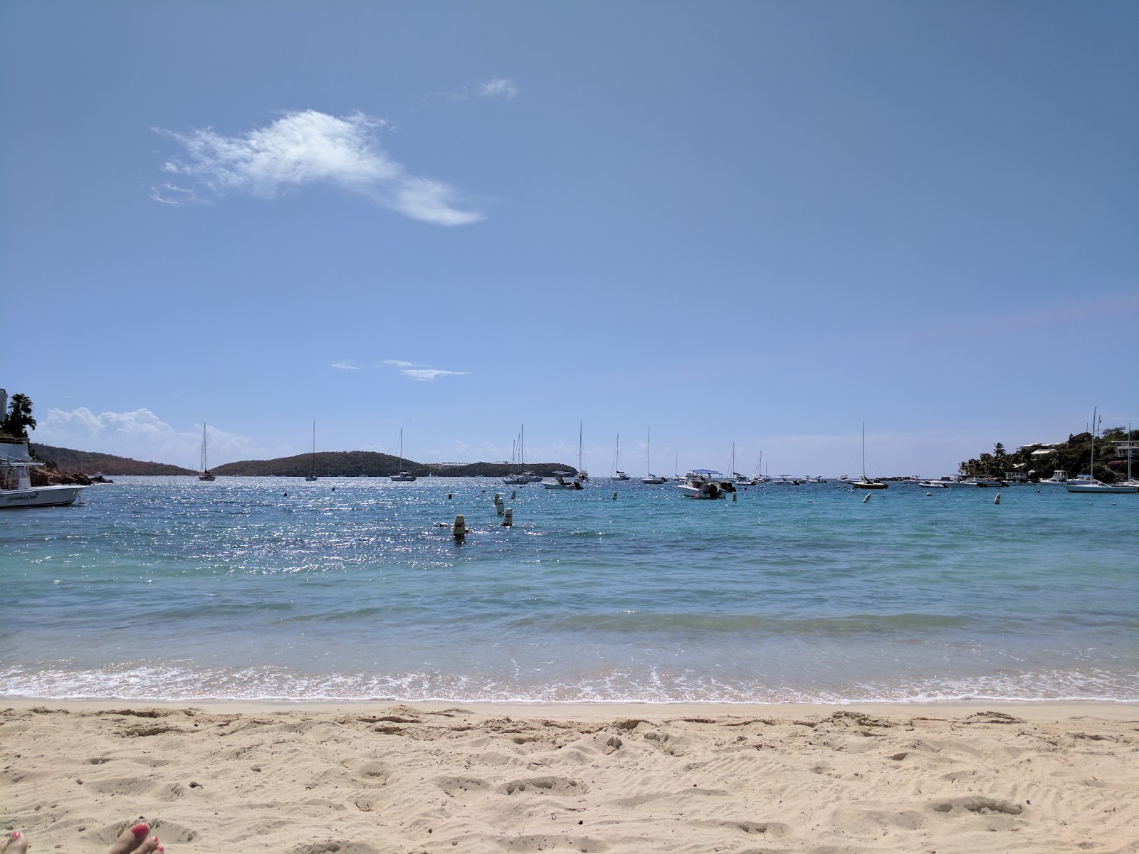 Cowpet Bay beach'in fotoğrafı imkanlar alanı