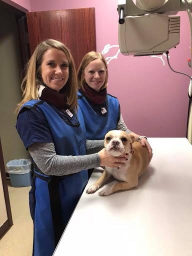 Coyne Veterinary Center - Portage veterinary clinic