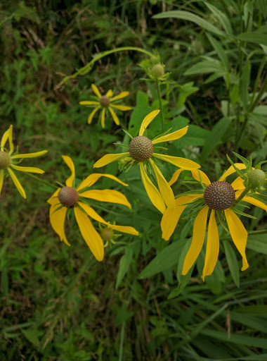 Nature Preserve «Creasey Mahan Nature Preserve», reviews and photos, 12501 Harmony Landing Rd, Goshen, KY 40026, USA