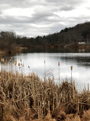 Ski Resort «Shawnee Mountain Ski Area», reviews and photos, 401 Hollow Rd, East Stroudsburg, PA 18301, USA