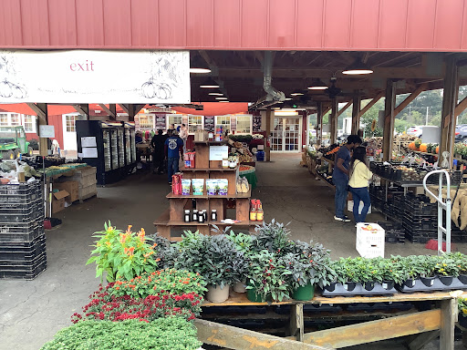 Farm «Alstede Farms», reviews and photos, 1 Alstede Farms Ln, Chester, NJ 07930, USA