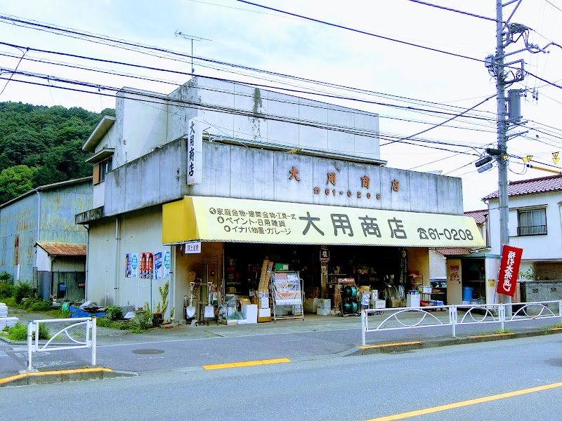 大用商店