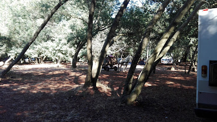Camping Tinas Calientes