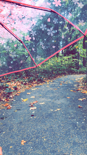 Park «Noble Woods Park», reviews and photos, 475 SE Century Blvd, Hillsboro, OR 97123, USA