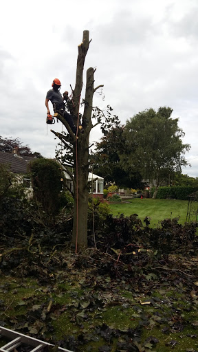 Tree pruning Stoke-on-Trent