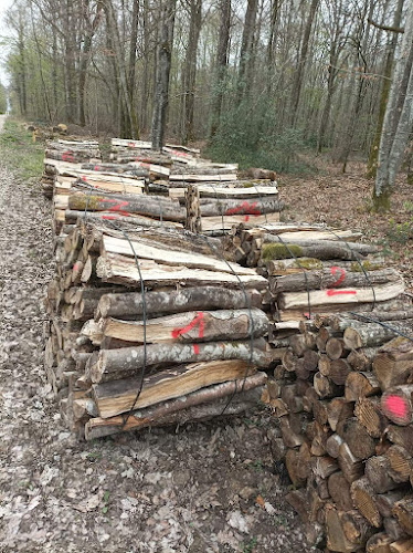 Magasin de bois de chauffage De La Forêt À La Cheminée Fontvannes