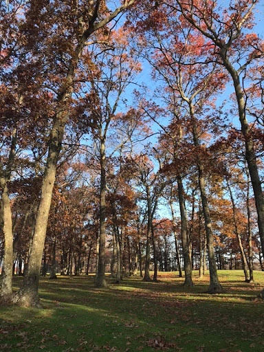 Golf Club «Cherry Creek Golf Links», reviews and photos, 900 Reeves Ave, Riverhead, NY 11901, USA