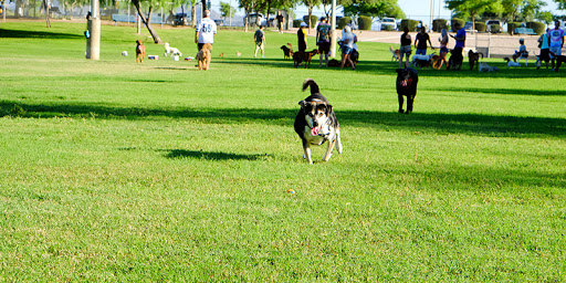 Dog Park «Freedom Dog Park», reviews and photos, 2675 Trophy Park Dr, Roanoke, TX 76262, USA