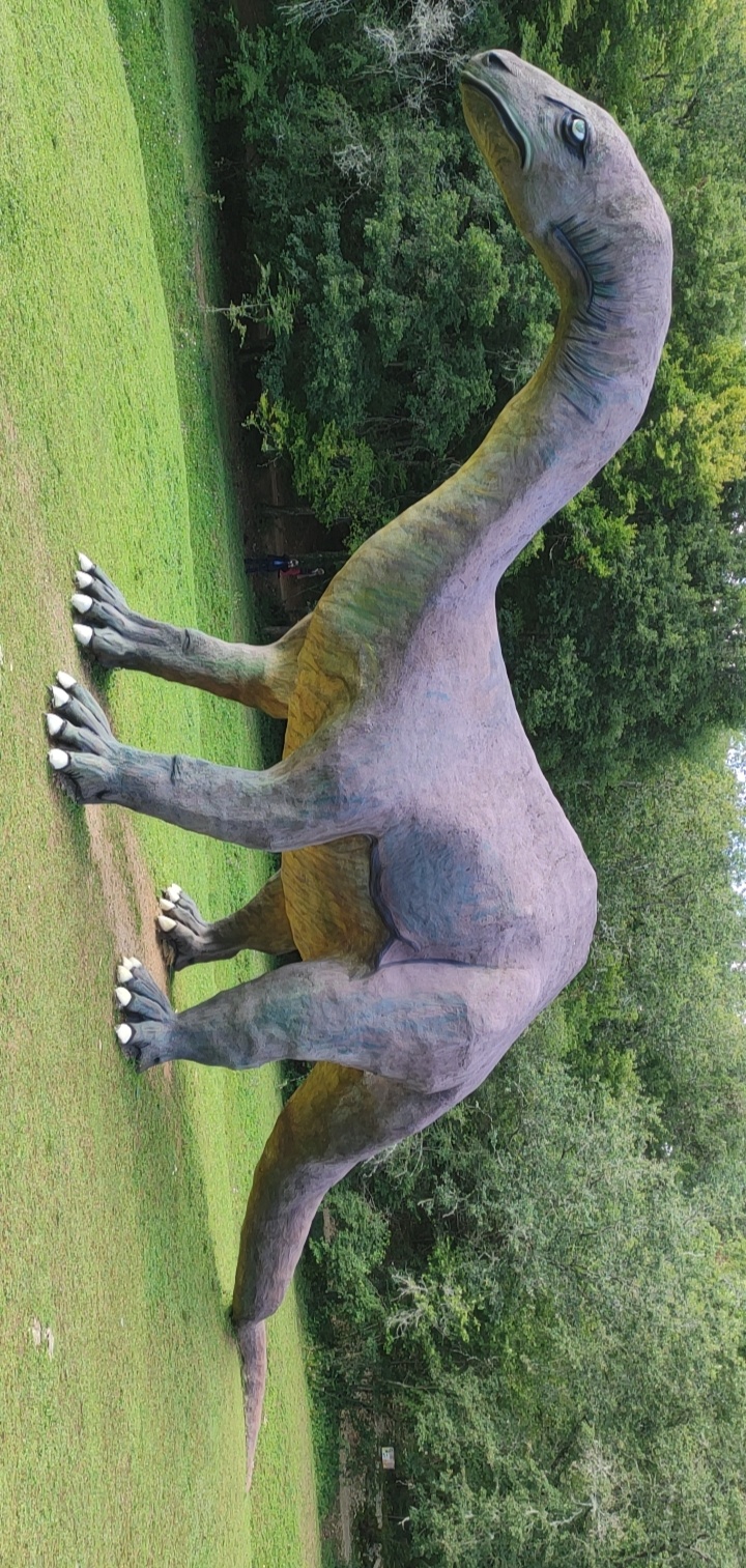 Photo n° 1 de l'avis de Akasha.l fait le 15/08/2021 à 23:23