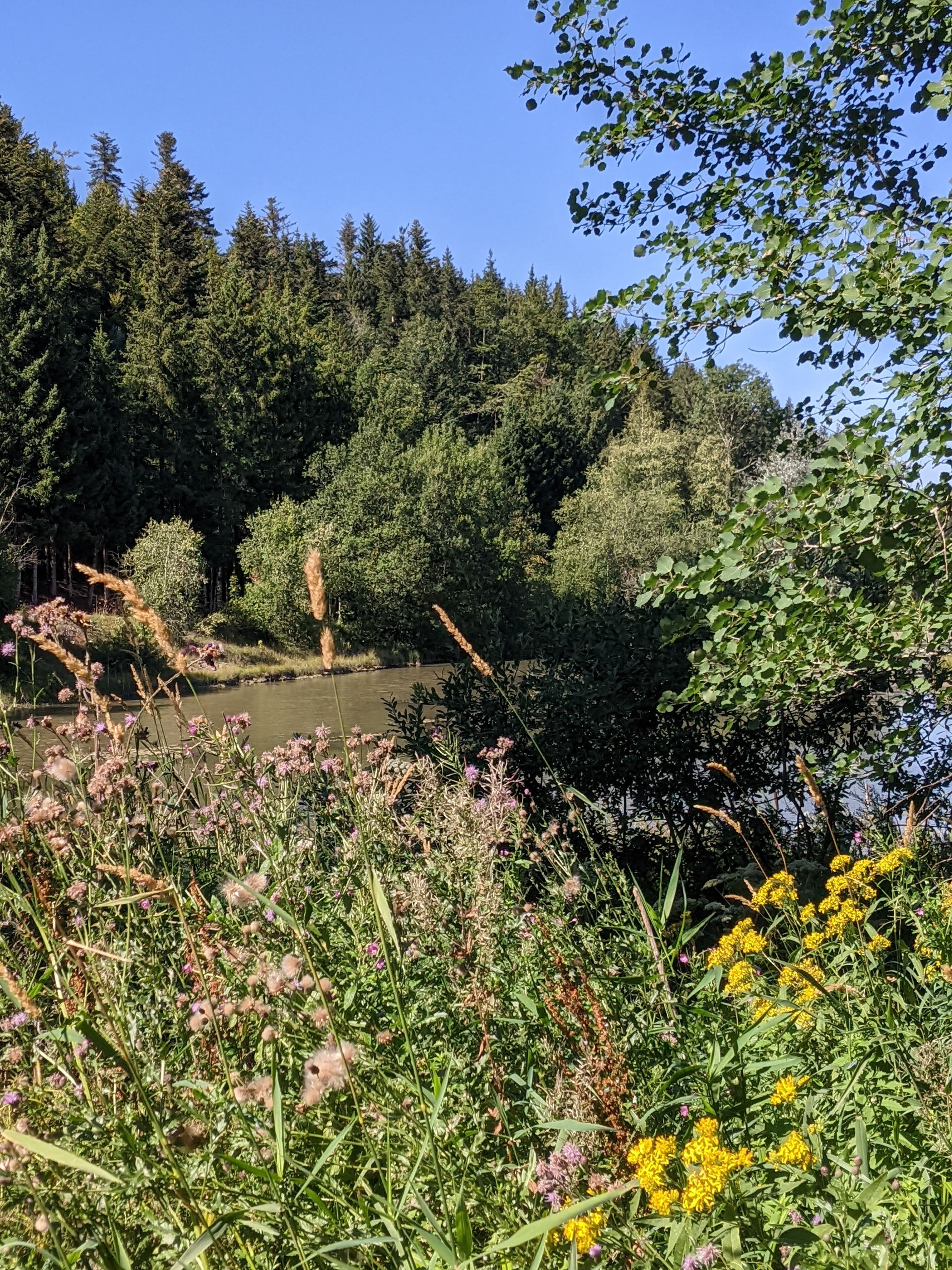 Photo n° 6 de l'avis de Lolo.n fait le 10/08/2022 à 17:55