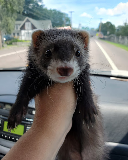 Pet Supply Store «Petco Animal Supplies», reviews and photos, 168 Ames Dr, Barre, VT 05641, USA