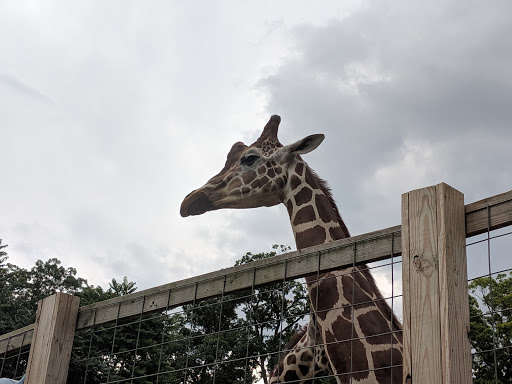 Recreation Center «Go Ape Zip Line & Treetop Adventure - Lums Pond State Park», reviews and photos, 1042 Howell School Rd, Bear, DE 19701, USA