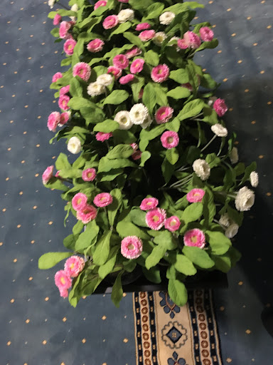 Community Center «The Mecca Center», reviews and photos, 16W560 91st St, Willowbrook, IL 60527, USA