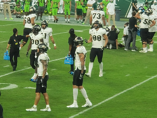 Stadium «Tampa Sports Authority», reviews and photos, 4201 N Dale Mabry Hwy, Tampa, FL 33607, USA