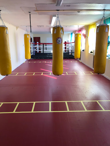 Gym «Fight Factory», reviews and photos, 24 Cobek Ct, Brooklyn, NY 11223, USA