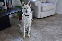 Wireless Planet - Photo 5 - Car repair in Redondo Beach, CA, Torrance