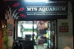 Aquarium Shop and Photo Studio MTS Aquarium Service. image