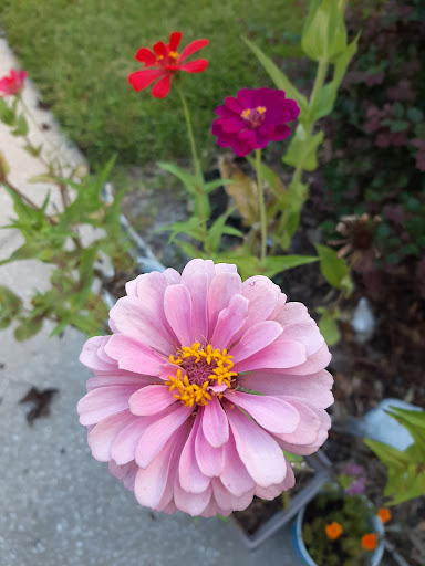 Golf Club «The Golf Club at South Hampton», reviews and photos, 315 S Hampton Club Way, St Augustine, FL 32092, USA