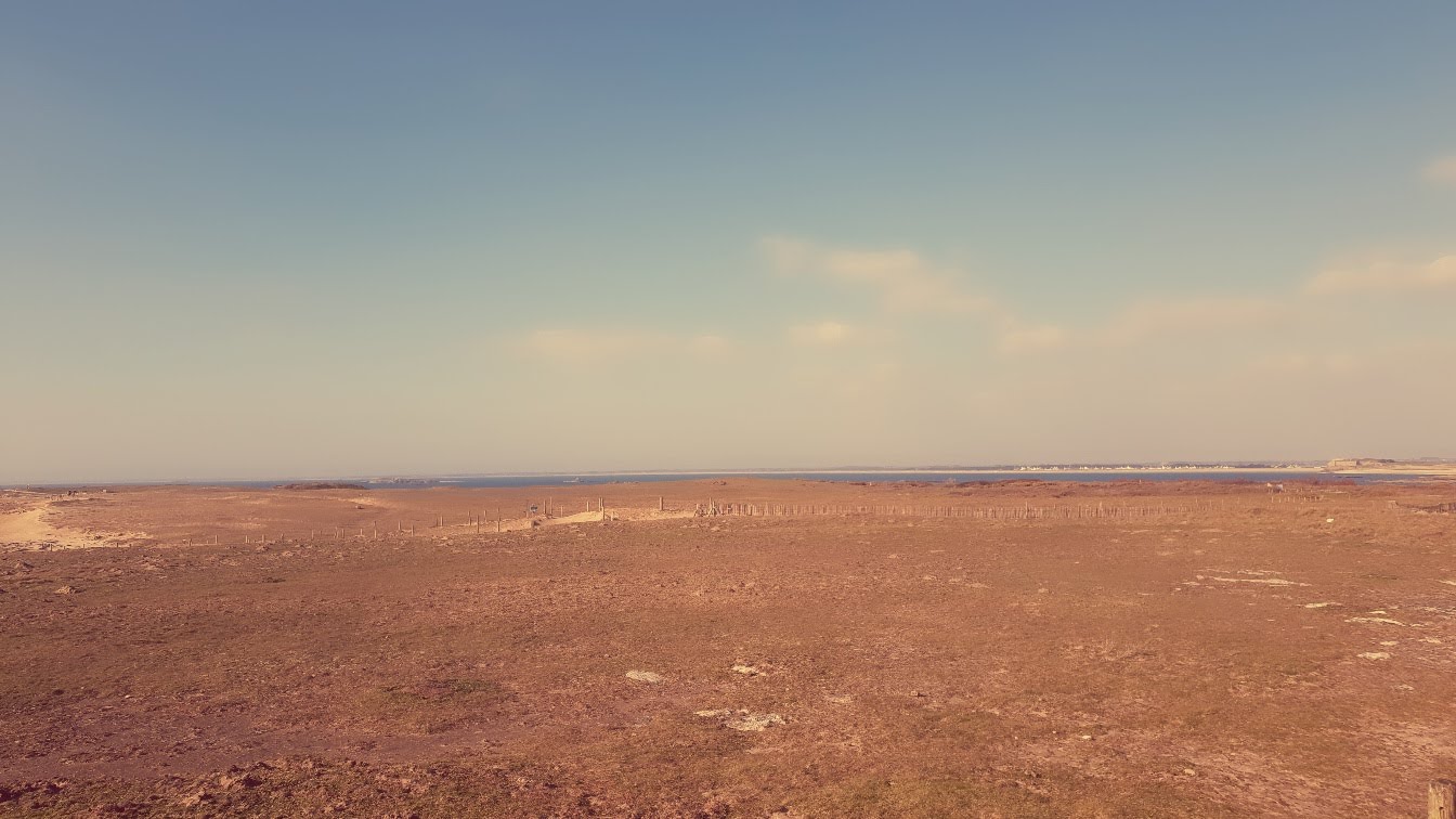 Photo n° 6 de l'avis de pat.i fait le 27/03/2019 à 18:12