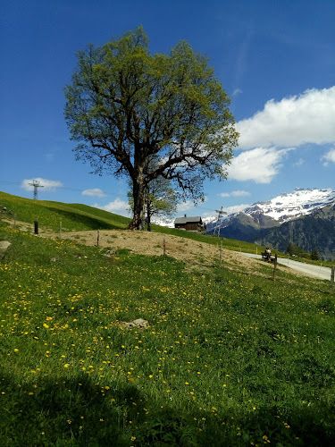 schuler-transporte.ch - Schwyz