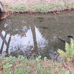 Photo n°4 de l'avis de Achim.e fait le 31/08/2022 à 14:28 sur le  Forellenhof Poggel à Eslohe