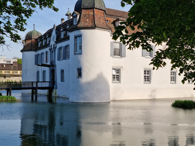 Schloss Bottmingen - Reinach
