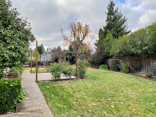 Cami Czarny Realtor in Silicon Valley image