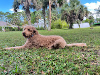 Boarding with Becky - Photo 2 - Car repair in Palm Bay, FL, Palm Bay