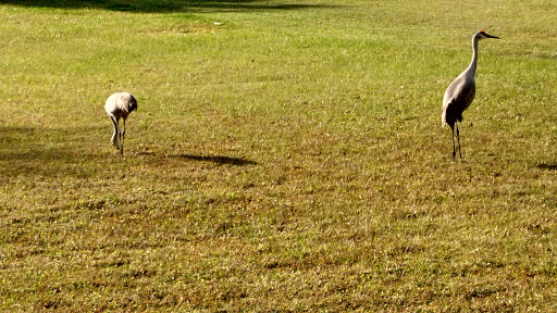 Golf Club «Palm Valley Golf Club», reviews and photos, 1075 Palm Valley Rd, Ponte Vedra Beach, FL 32081, USA