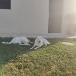 Photo n°3 de l'avis de Katia.r fait le 04/07/2021 à 09:37 sur le  Tenuta Mirco Agriturismo à Montenero di Bisaccia