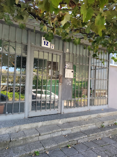 Светлана Димова Йорки груминг - Варна