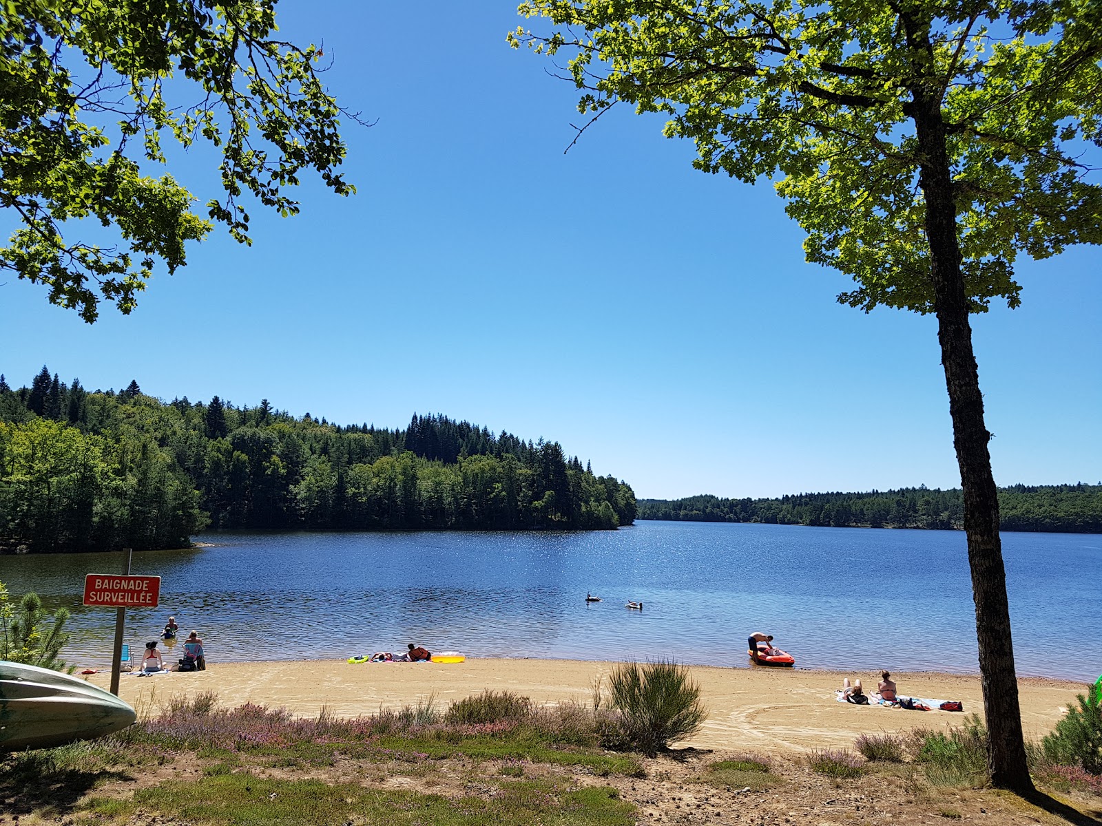 Photo de Maury Beach et le règlement