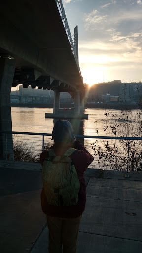 Motor Vehicle Dealer «SK Northwest», reviews and photos, 250 SE Division Pl, Portland, OR 97202, USA