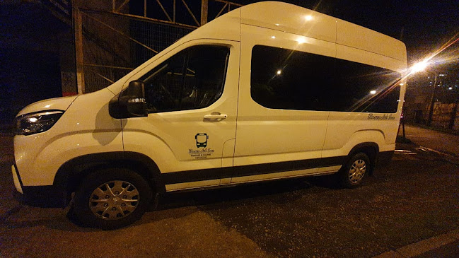 Comentarios y opiniones de Buses Del Sur