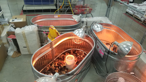 Home Improvement Store «Tractor Supply Co.», reviews and photos, 33701 US-281, Bulverde, TX 78163, USA