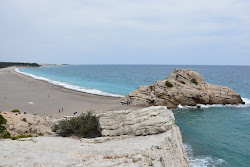 Foto di Platja del Torn area servizi
