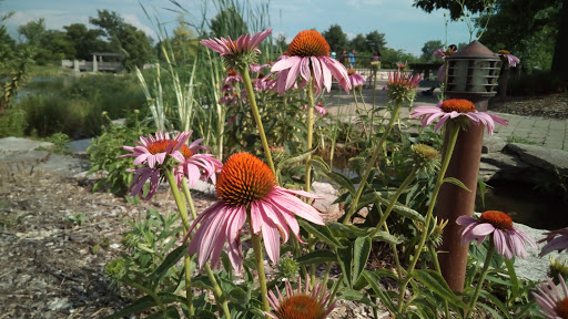 Bird Watching Area «Coffee Creek Watershed Preserve», reviews and photos, 2401 Village Point, Chesterton, IN 46304, USA