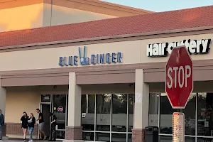 Blue Ginger image