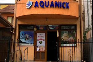 AQUANICK image