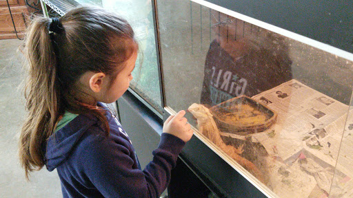 Zoo «Special Memories Zoo», reviews and photos, W7013 Spring Rd, Greenville, WI 54942, USA