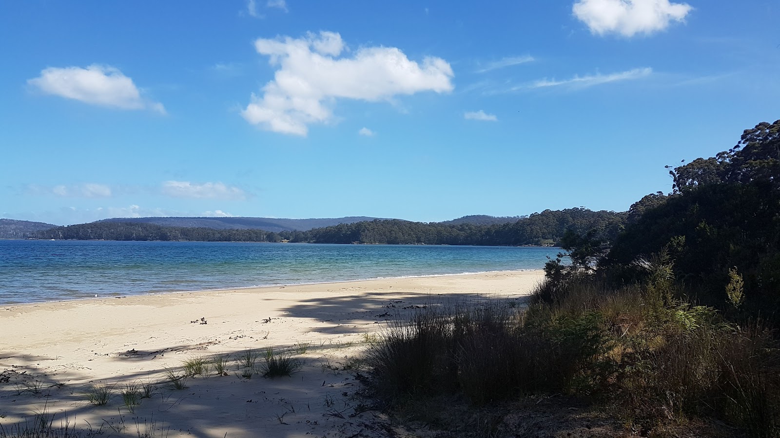 Photo de Motts Beach zone sauvage