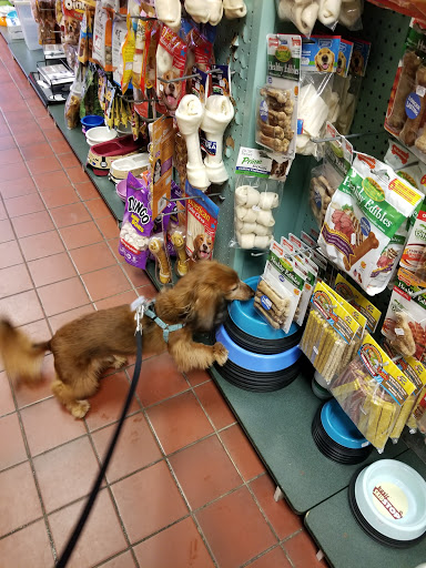 Pet Supply Store «Petland Discounts - Rego Park», reviews and photos, 94-18 63rd Dr, Rego Park, NY 11374, USA