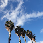 Photo n°2 de l'avis de Paulina.n fait le 26/04/2021 à 20:45 sur le  Estalagem da Ponta do Sol à Ponta do Sol