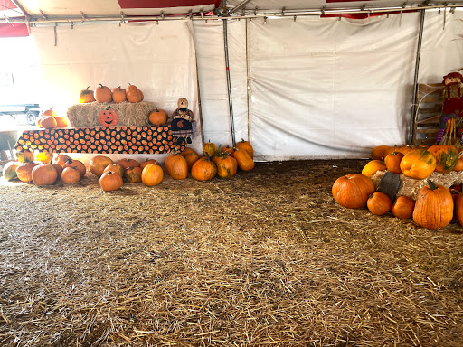 Arizona Pumpkin Patch