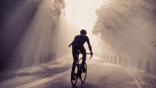 Bicycle Store «Trek Bicycle Store Greenville», reviews and photos, 1426 Laurens Rd, Greenville, SC 29607, USA