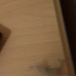 Photo n°39 de l'avis de Paris.i fait le 31/07/2020 à 11:46 sur le  Hotel Residence dei Fiori - Lago Maggiore Baveno à Baveno