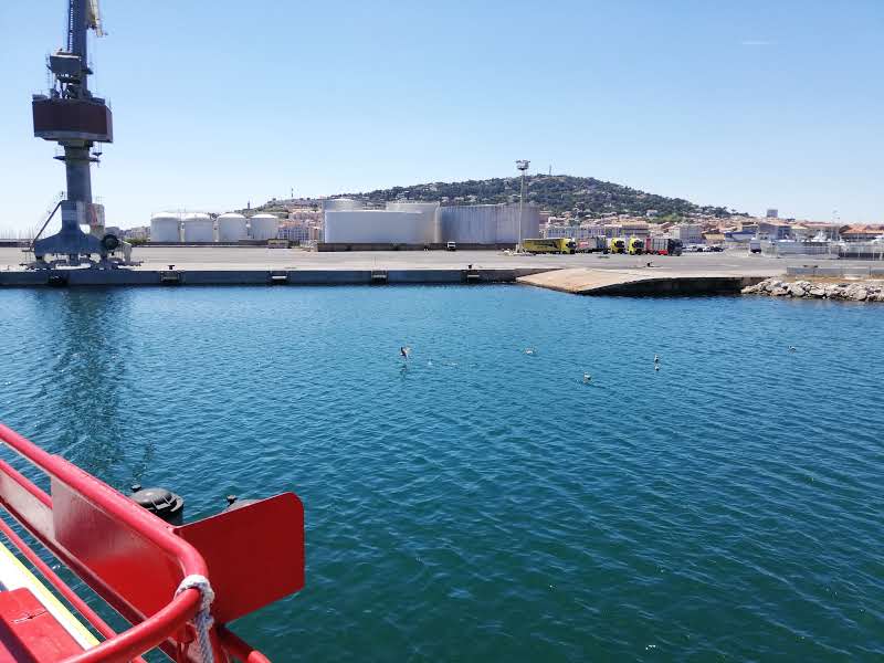 Photo n° 7 de l'avis de Schout.a fait le 15/07/2019 à 09:52