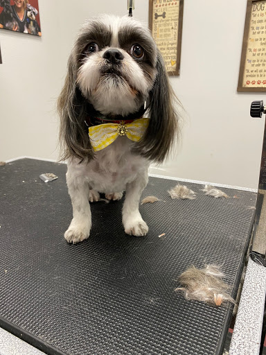 Pet Store «Healthy Pets Mountain West», reviews and photos, 2352 Fort Union Blvd, Cottonwood Heights, UT 84121, USA